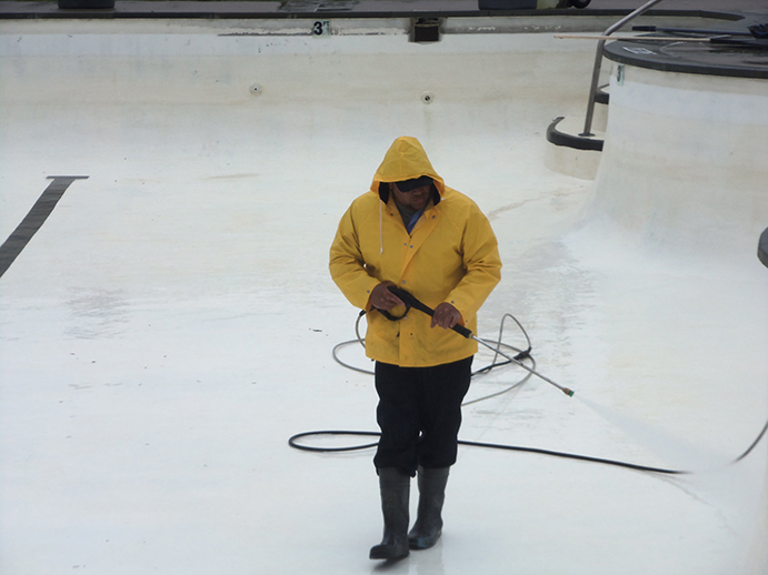 Pool Cleaning